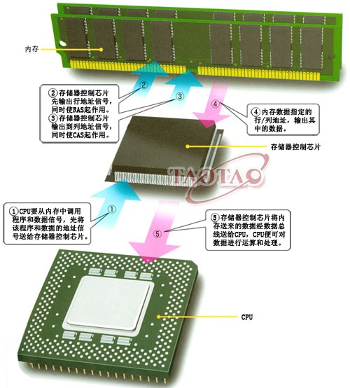 CPU存储的位置在哪里？