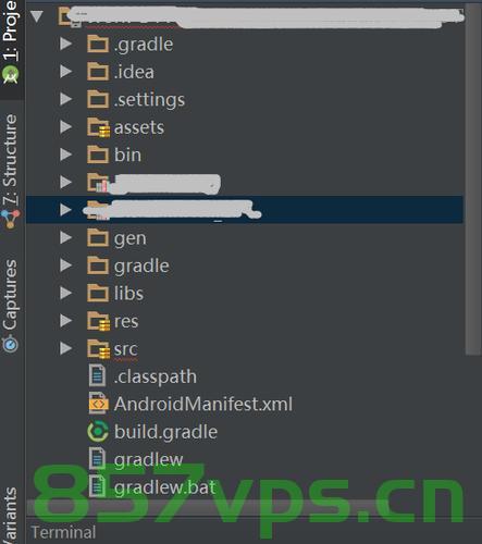 为什么在Android Studio中找不到已安装的Gradle版本？