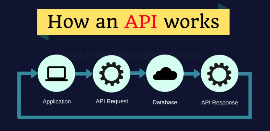 Contains API，探索其功能与应用