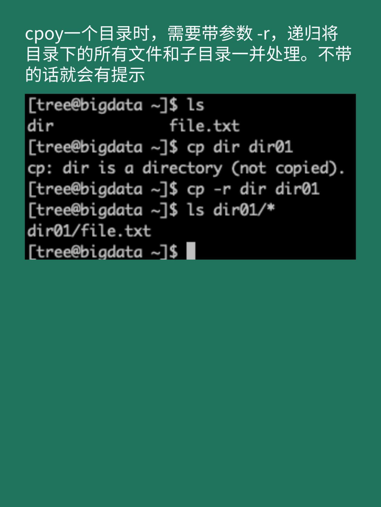 如何深入理解并掌握CP命令在Linux系统中的使用？  第1张