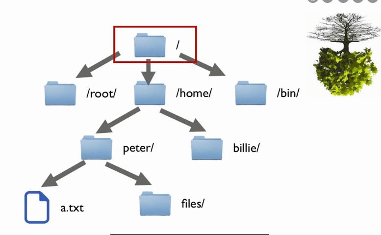如何在Linux中使用相对路径进行文件操作？