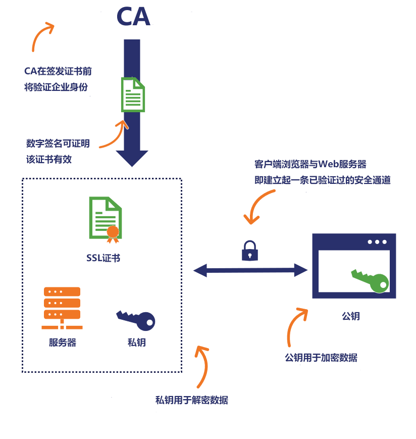 如何在CURL中正确配置和使用SSL/TLS证书？