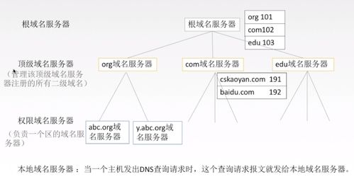 如何查找并了解域名服务器的地址信息？  第1张