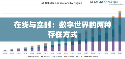 在数字世界中，还有哪些未被占用的数字域名等待我们去发掘？