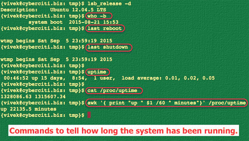 c判断当前系统linux