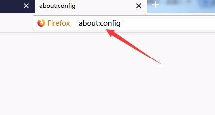 Firefox如何保持网络请求？  第1张