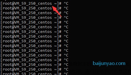 cp linux 改名字  第1张