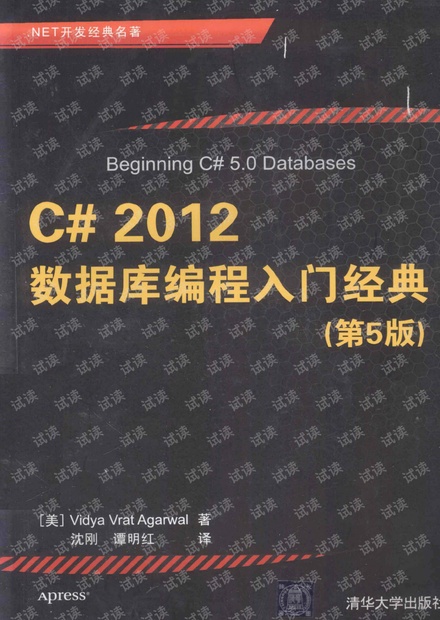 c数据库入门经典  第1张