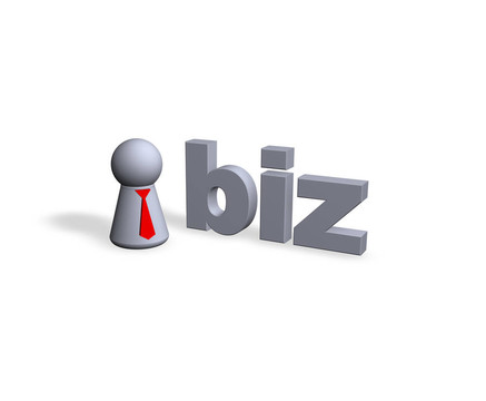 biz中文域名查询  第1张