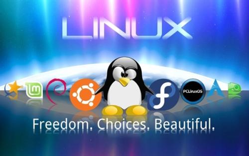FC Linux是什么？探索其特性与应用场景