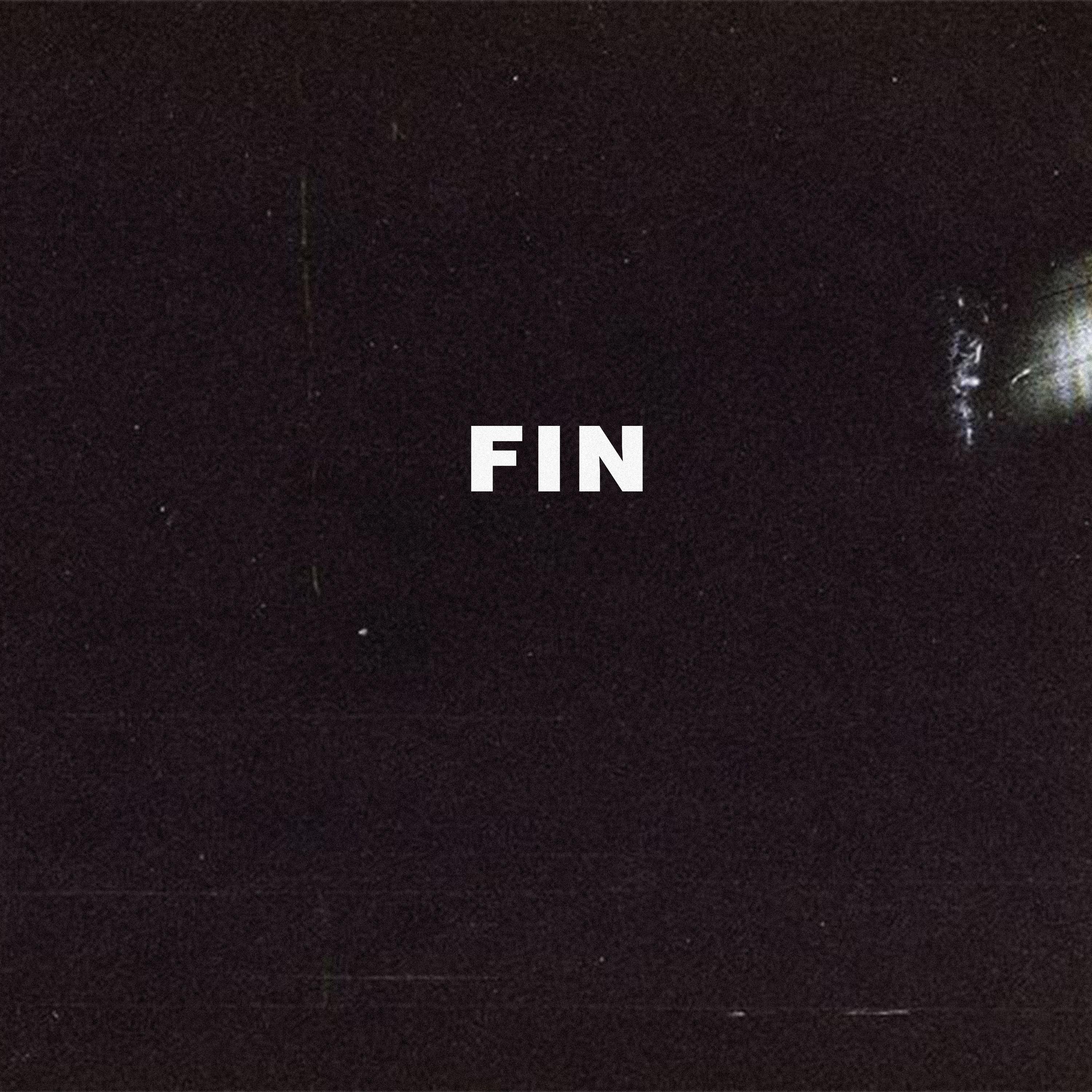 FIN网络究竟是什么意思？