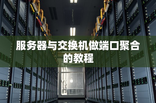 服务器支持端口聚合吗  第1张