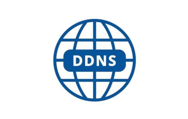 如何选择最适合你的DDNS服务商？  第1张