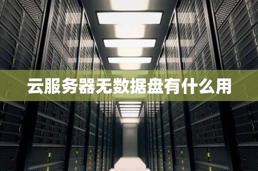 什么是云服务器无数据盘配置及其影响？