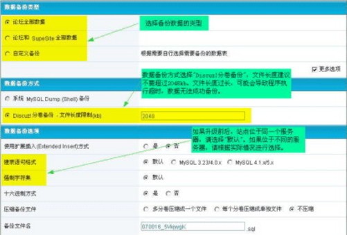 如何进行Discuz网站的有效维护？