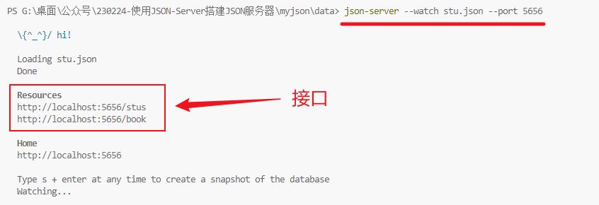 服务器怎么开启json