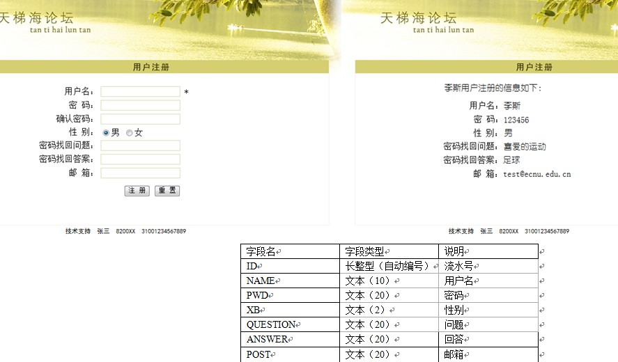 asp网站系统_ASP报告信息