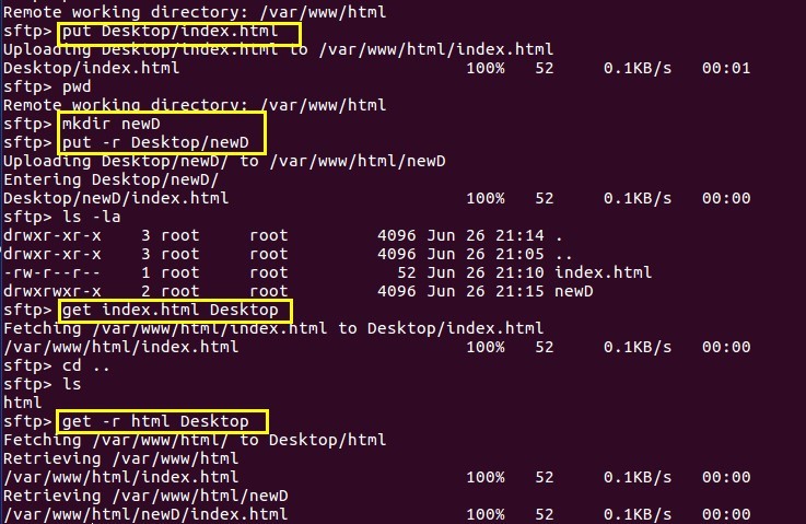 掌握Unix/Linux命令行，sh命令有哪些实用技巧？
