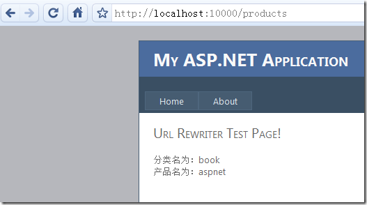aspnet 网站配置url_获取网站配置
