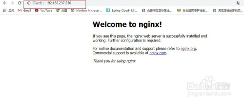 debian 查看开放端口