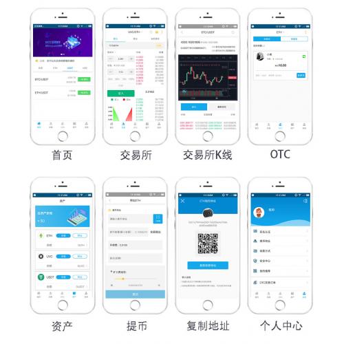 app软件搭建_交易软件APP测试