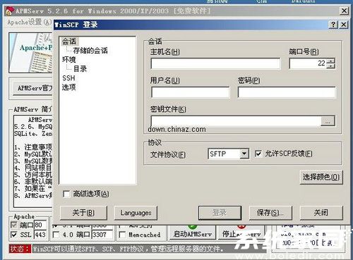 apmserv网站模板_网站模板设置  第1张