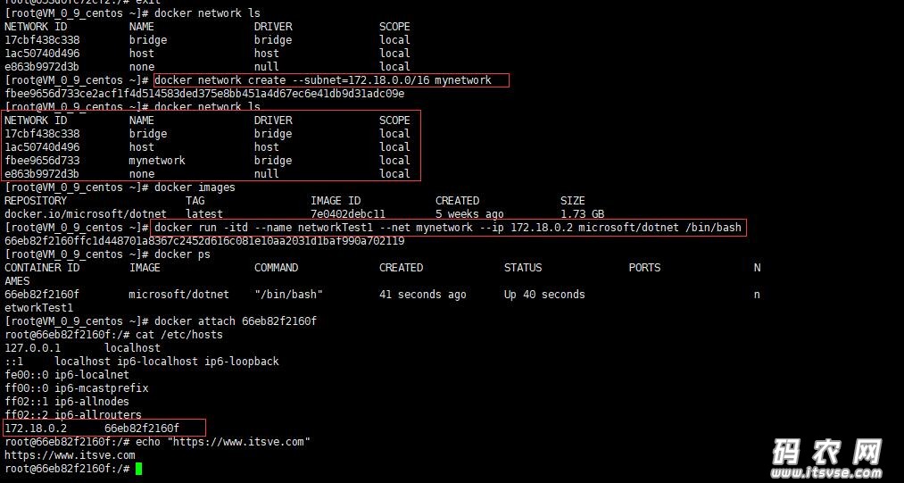 docker创建容器后怎么配置ip地址  第1张