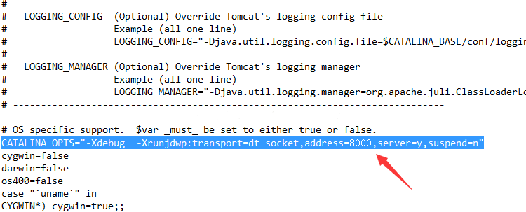 debug 远程服务器参数  第1张