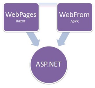 ASP.NET网页开发实践，如何快速构建高效网页？