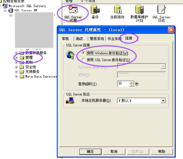 C Windows窗体数据库操作指南，如何高效连接与管理数据库？