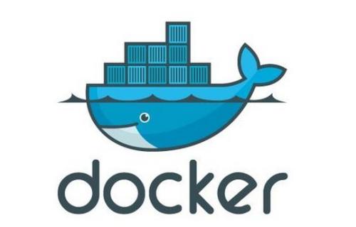 如何成功启动Docker容器？