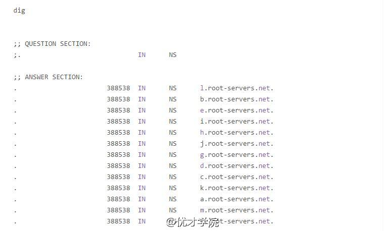 如何通过 dig 命令查询域名的相关信息？