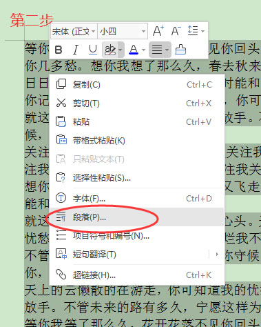 wps为什么段落前面不能空格  第1张