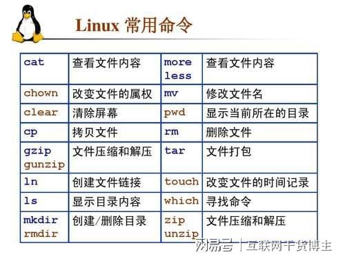 dd备份linux压缩