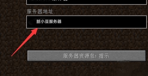 如何获取我的世界小co服务器的密码？