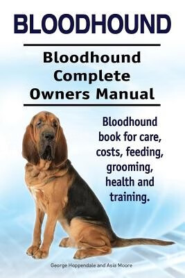 内网利器-BloodHound(猎犬)）
