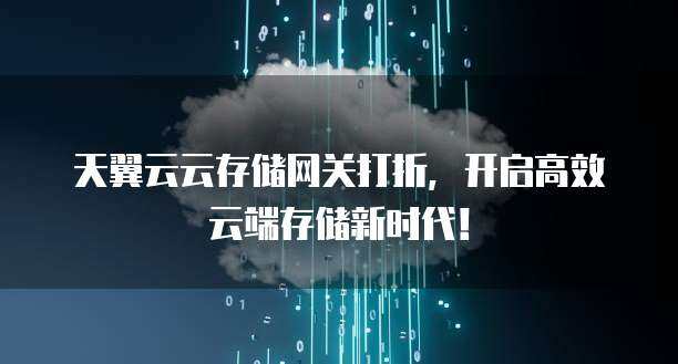 存储网关打折  第1张