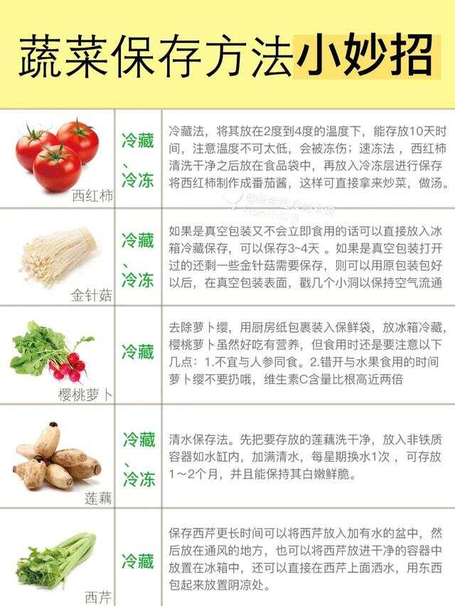 存储蔬菜有妙招视频  第1张