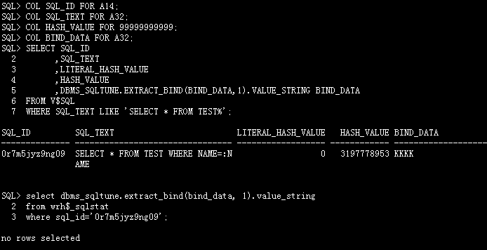 存储过程 动态sql 绑定变量