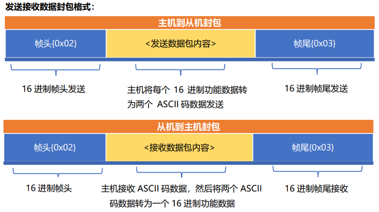 存储转发的数据包交换