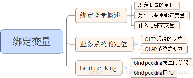 存储过程使用绑定变量值
