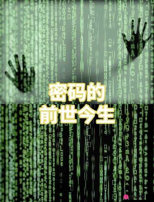 OOG，探索这一神秘代码背后的意义与影响