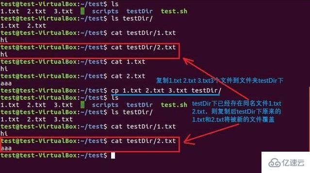 如何高效使用cp命令进行文件复制？