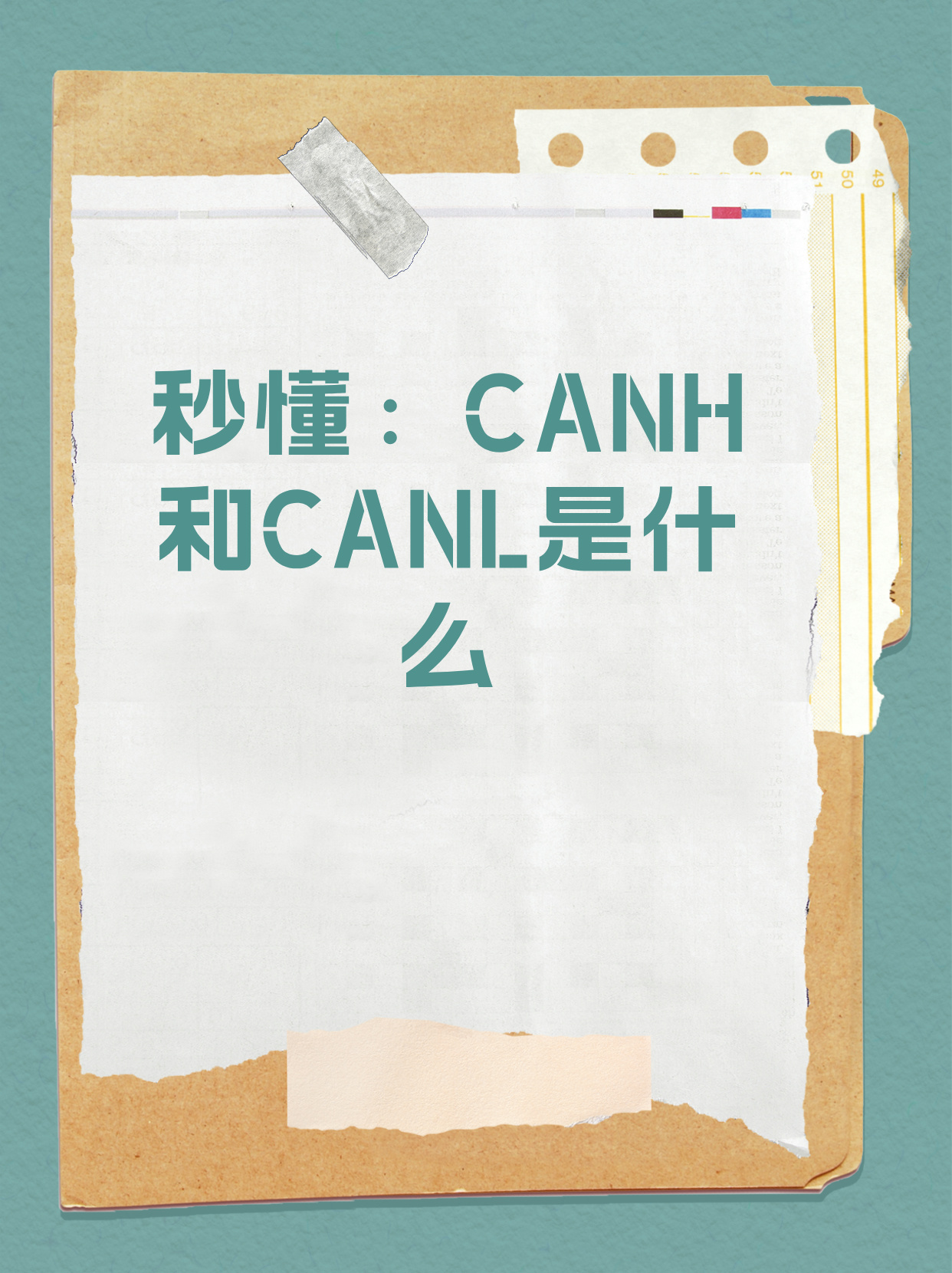Canh 是什么？探索这个神秘术语的含义