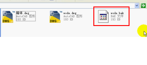BAK通常代表什么含义？