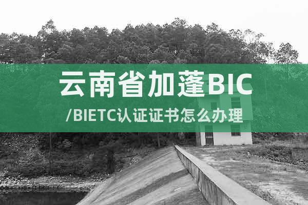 bietc证书  第1张