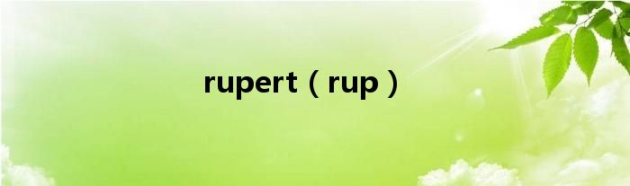 rup代表什么意思？  第1张