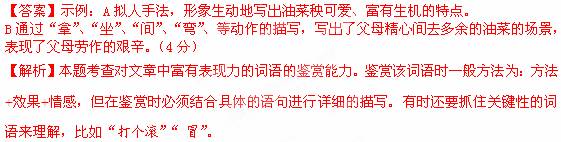 什么是初值？它在文章中扮演了什么角色？