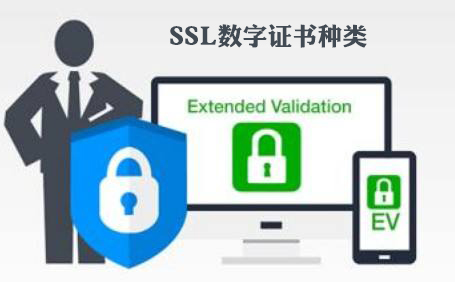 数字证书ssl是什么  第1张