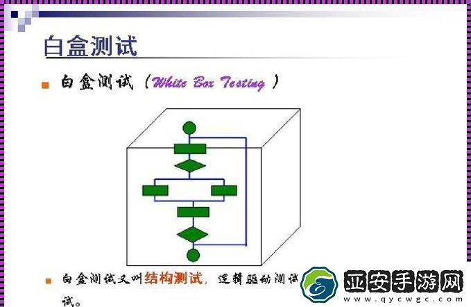 白盒测试是什么测试